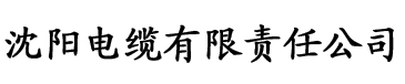 欧美日韩亚洲一区二区三区在线电缆厂logo